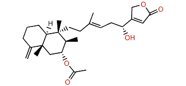 Thorectandrol C